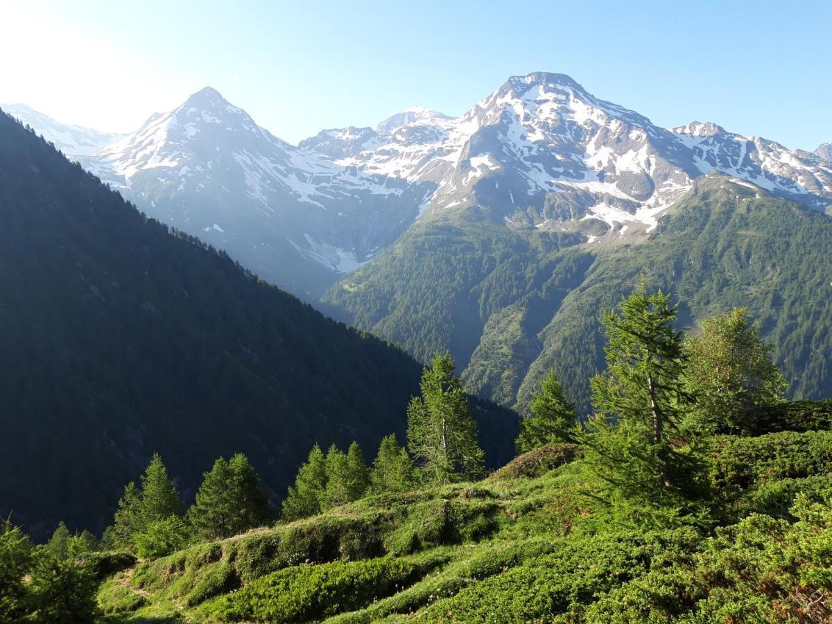 Chalet Bietschhorn Rosswald Termen 외부 사진