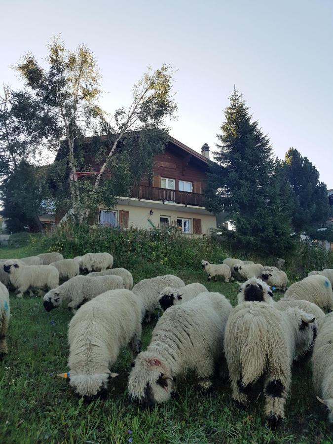Chalet Bietschhorn Rosswald Termen 외부 사진